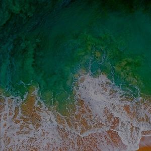 Meet your Posher, Brant